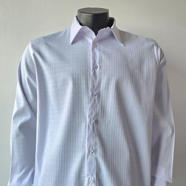 Formal Shirts- Blue
